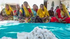 More male and female farmers will be added to the India and Pakistan programmes